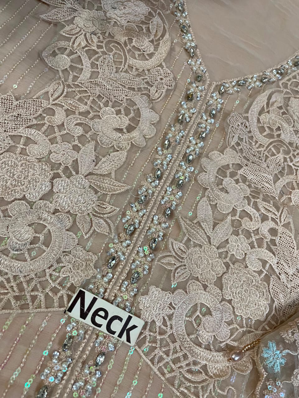 Beige Champagne Chiffon Suit – Daman 3D Flower Work Adda Scalloped Cutwork Border